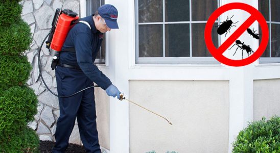 İhsangazi Hamam Böceği İlaçlama böcek ilaçlama ve haşere kontrolü — ilaclama-tr.com